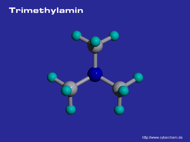 Trimethylamin